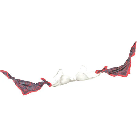 Baffling Bra Trick