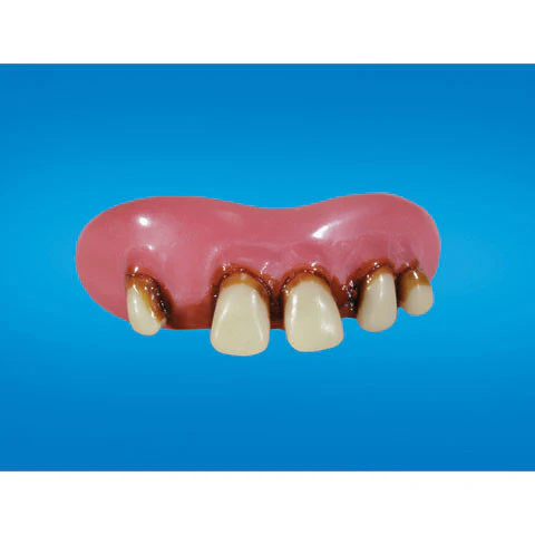Betty Bob Teeth