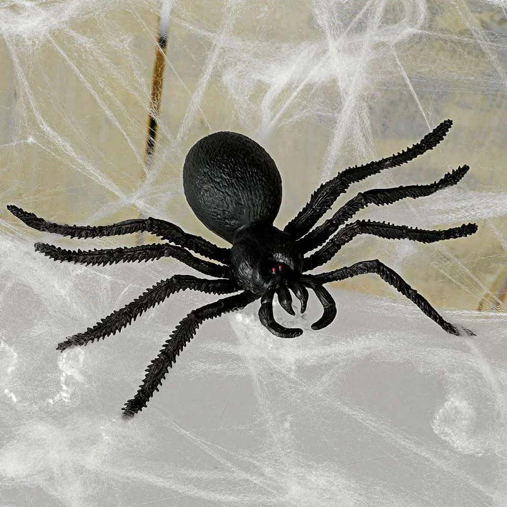 Big Spider and Web - Image 2
