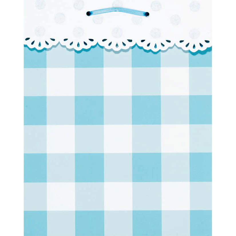 Blue Gingham Universal Gift Bag