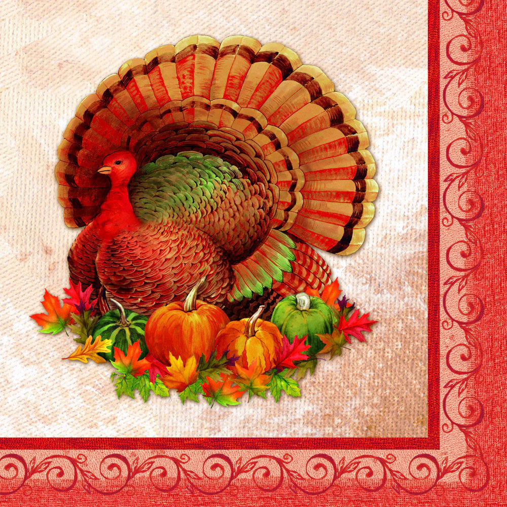 Bountiful Feast Beverage Napkins (16ct)