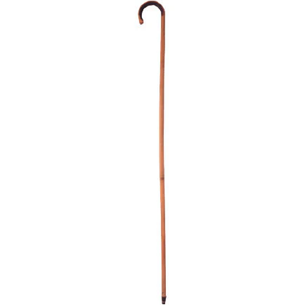 Cane, Bamboo