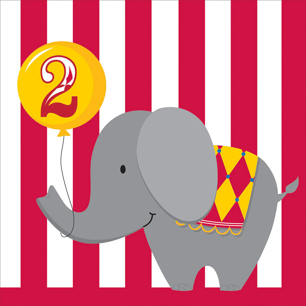 Circus Time! 2nd Birthday Luncheon Napkins (16ct)
