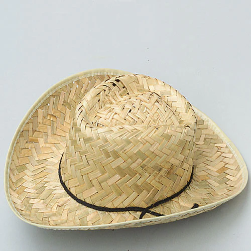 Cowboy Hat