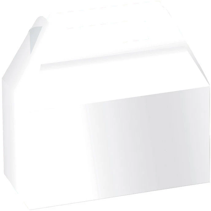 White Favor Boxes (2ct)