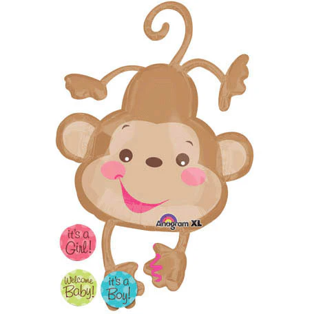 Fisher Price Baby Monkey Doo-dads Super Shape