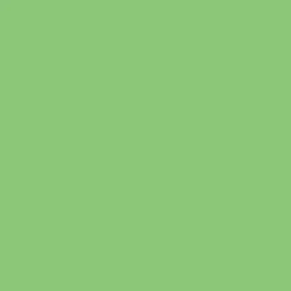 Kiwi Gift Wrap