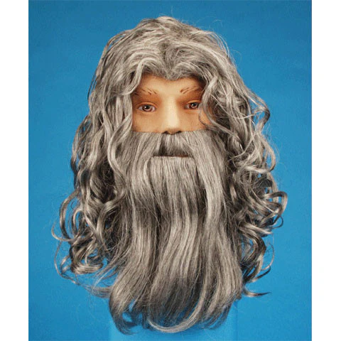 Wizard Wig & Beard Gray